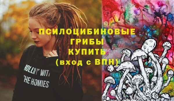 трава Арсеньев